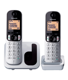 Teléfono Panasonic KX-TGC212 Gris plata/negro Dúo